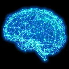 Prueba de personalidad psicológica